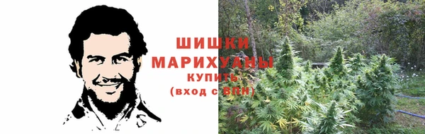 ALPHA-PVP Алексеевка