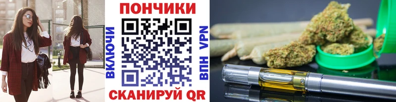 Шишки марихуана индика  Хадыженск 